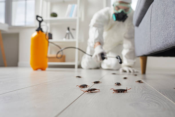 Post-Treatment Bed Bug Interceptor Monitoring in Lillian