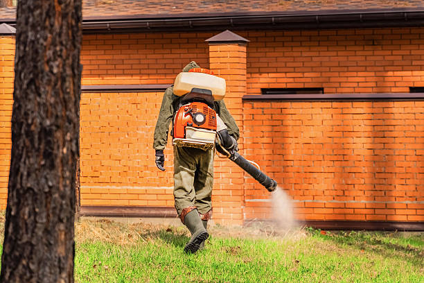 Bed Bug Clearance Verification and Documentation in Lillian